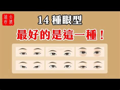 縴長眼面相